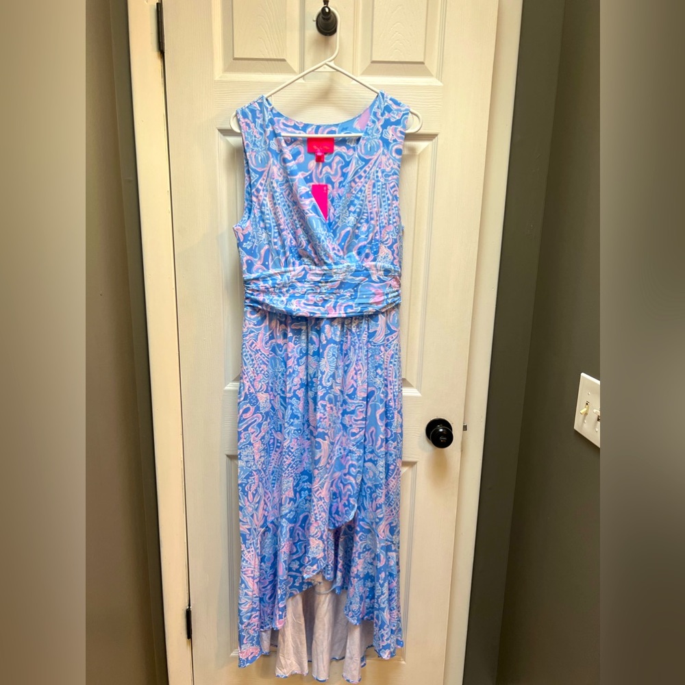 💫✨NWT ✨💫 Lilly Pulitzer Moana Maxi Dress